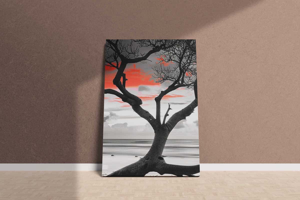 Canvas Prints image