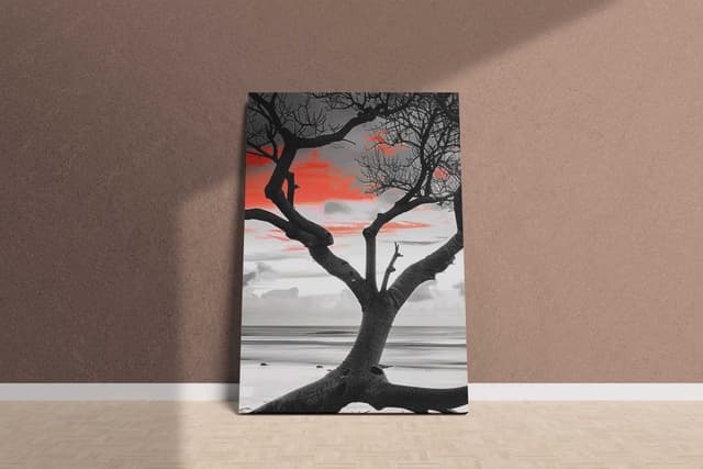Canvas Prints